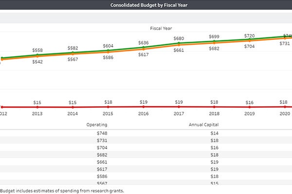 Consolidated Budget Thumbnail